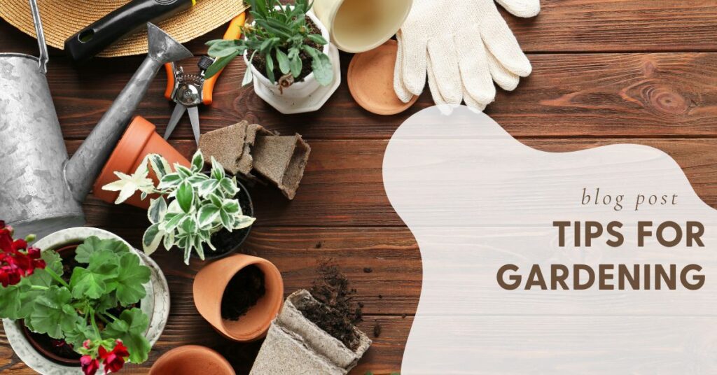 Tips for Gardening Without Pain: How to Protect Your Body